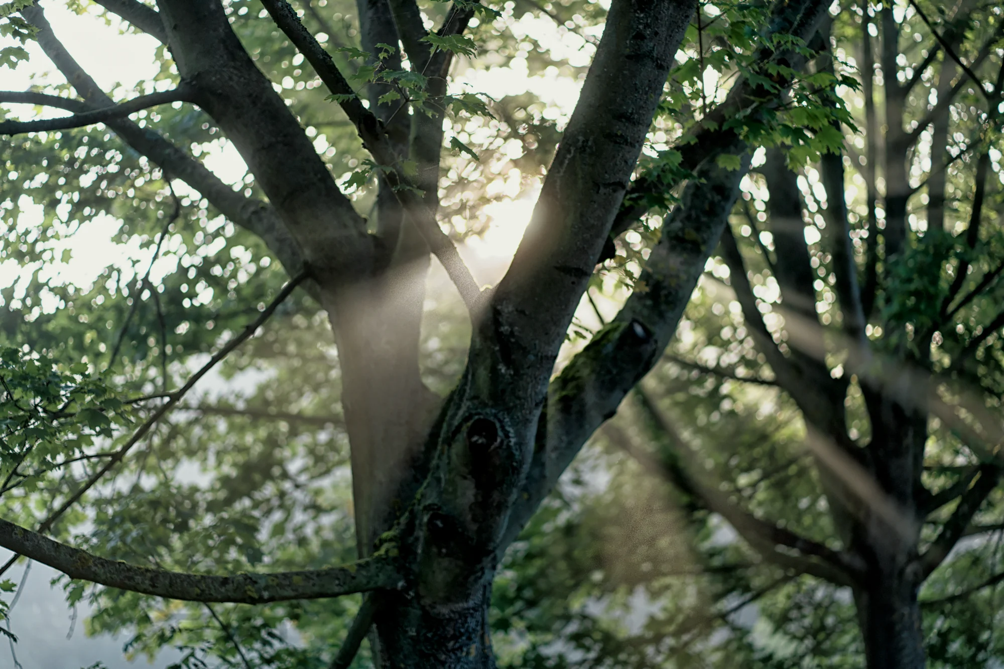 A7R01500 Bearbeitet Bearbeitet